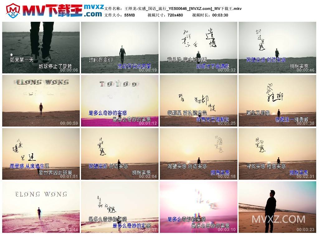 王绎龙-实感_国语_流行_YE500646